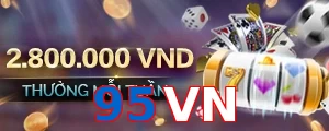 95VN