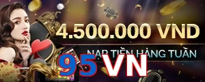 95VN
