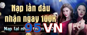 95VN