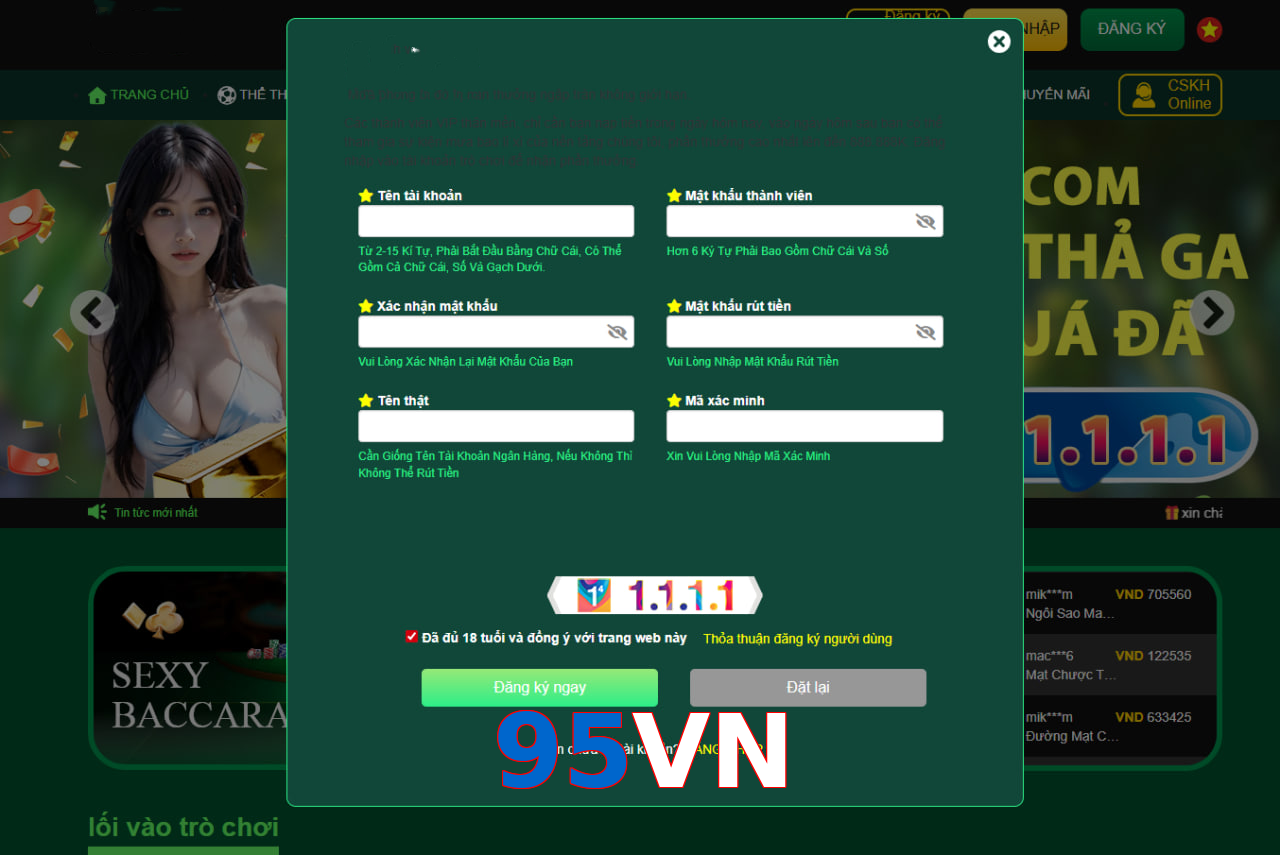 95VN